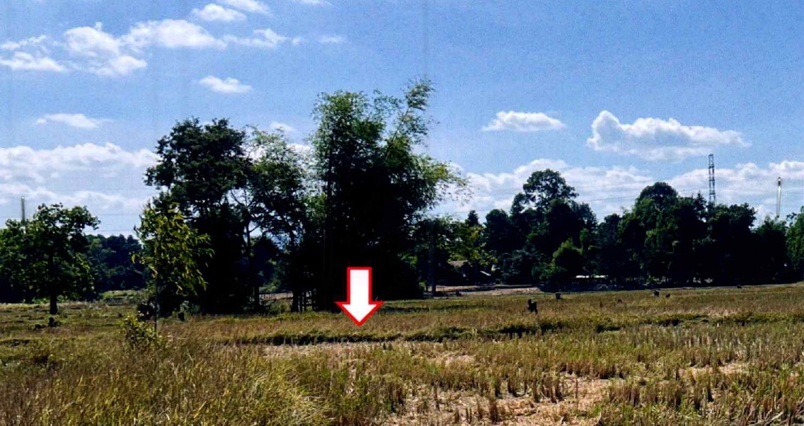 ขายทอดตลาด ที่ดินว่างเปล่า จ.สกลนคร