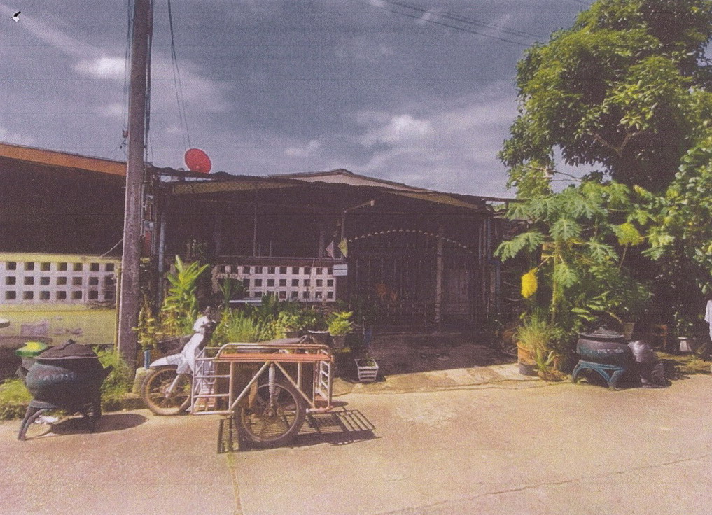 ขายทอดตลาด ที่ดินพร้อมสิ่งปลูกสร้าง ต.บางลึก อ.เมืองชุมพร จ.ชุมพร