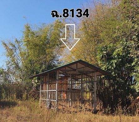 ขายทอดตลาด ที่ดินพร้อมสิ่งปลูกสร้าง ต.อากาศ อ.อากาศอำนวย จ.สกลนคร