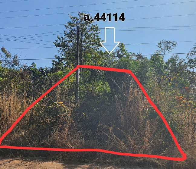 ขายทอดตลาด ที่ดินว่างเปล่า จ.สกลนคร