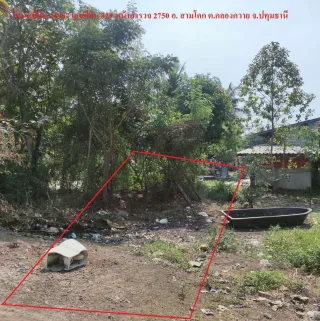รูปทรัพย์ 1