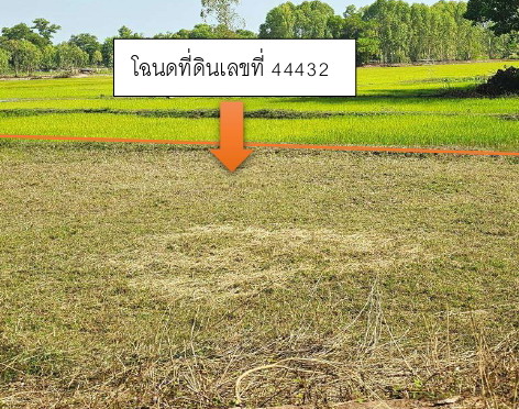 ขายทอดตลาด ที่ดินว่างเปล่า จ.สกลนคร