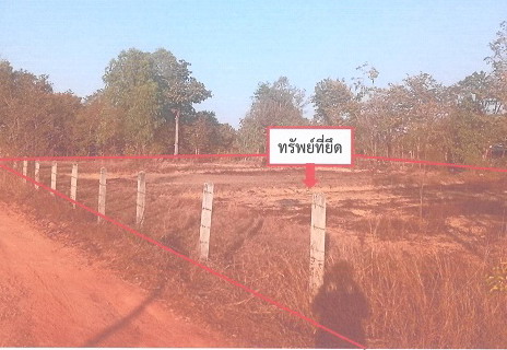ขายทอดตลาด ที่ดินพร้อมสิ่งปลูกสร้าง ต.วาใหญ่ อ.อากาศอำนวย จ.สกลนคร