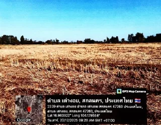 รูปทรัพย์ 2