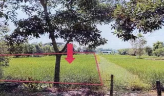 รูปทรัพย์ 2