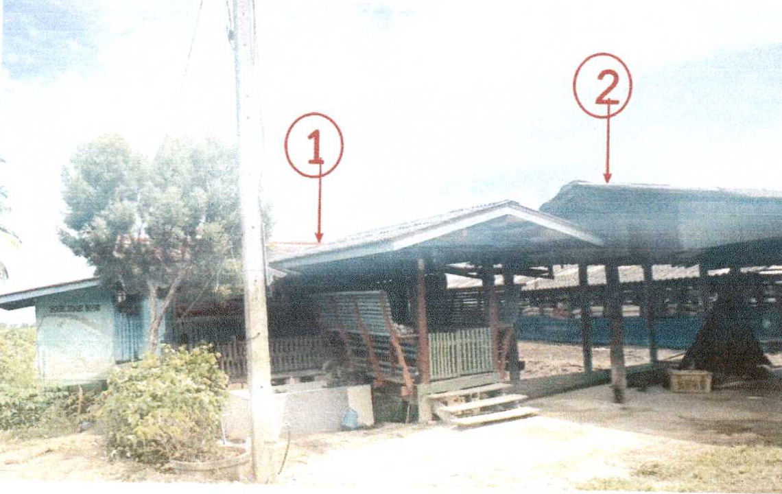 ขายทอดตลาด ที่ดินพร้อมสิ่งปลูกสร้าง ต.ชายนา อ.เสนา จ.พระนครศรีอยุธยา