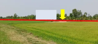 รูปทรัพย์ 2