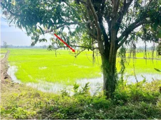 รูปทรัพย์ 3