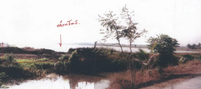 ขายทอดตลาด ที่ดินว่างเปล่า ต.คลองควาย อ.สามโคก จ.ปทุมธานี