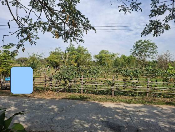 ขายทอดตลาด ที่ดินว่างเปล่า จ.มหาสารคาม