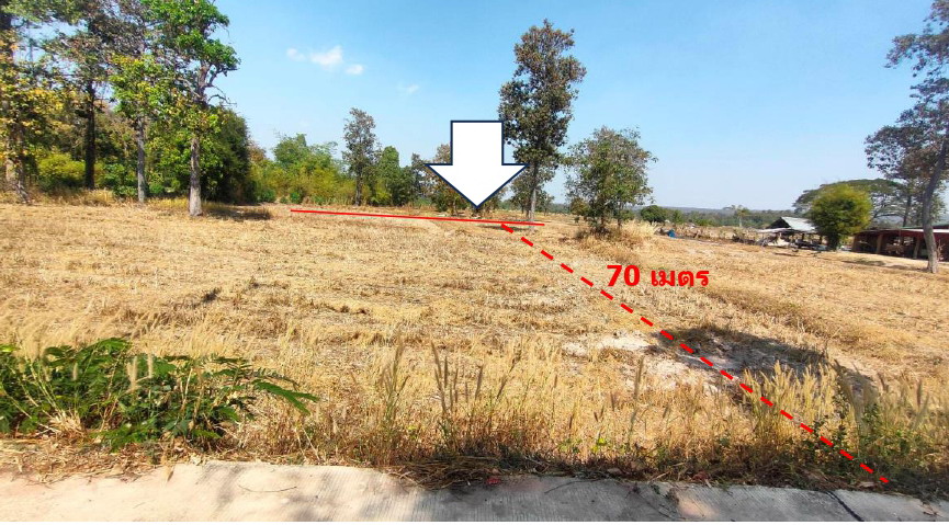 ขายทอดตลาด ที่ดินว่างเปล่า จ.สกลนคร