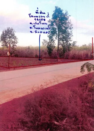 รูปทรัพย์ 2