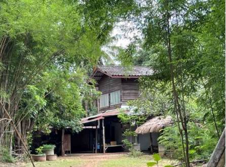 ขายทอดตลาด ที่ดินพร้อมสิ่งปลูกสร้าง ต.กู่ทอง อ.เชียงยืน จ.มหาสารคาม