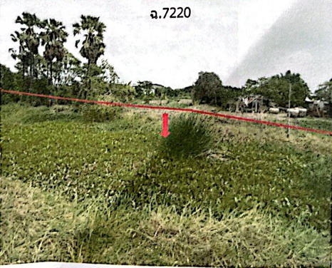 ขายทอดตลาด ที่ดินว่างเปล่า ต.บางเตย อ.สามโคก จ.ปทุมธานี