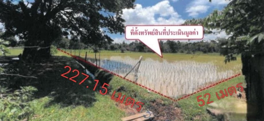 ขายทอดตลาด ที่ดินว่างเปล่า จ.สกลนคร