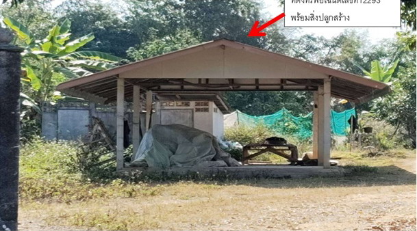ขายทอดตลาด ที่ดินพร้อมสิ่งปลูกสร้าง ต.ศรีค้ำ อ.แม่จัน จ.เชียงราย