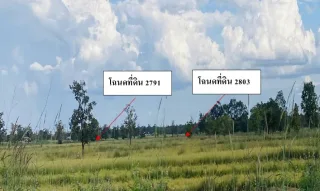 รูปทรัพย์ 2