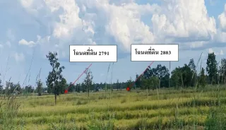 รูปทรัพย์ 3