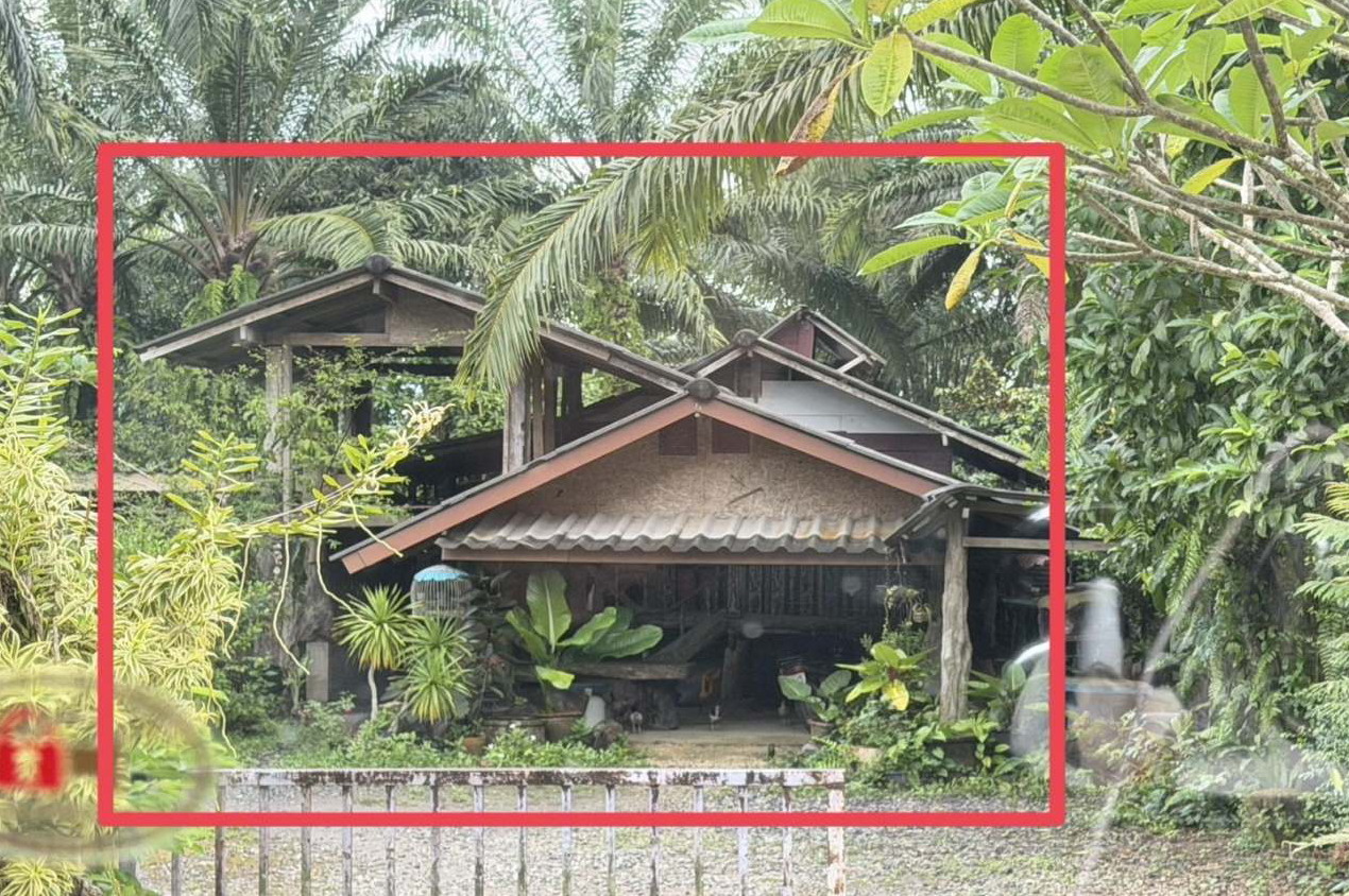 ขายทอดตลาด ที่ดินพร้อมสิ่งปลูกสร้าง ต.หนองช้างแล่น อ.ห้วยยอด จ.ตรัง