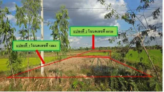 รูปทรัพย์ 1