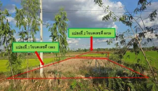รูปทรัพย์ 2