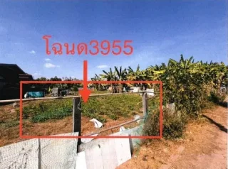 รูปทรัพย์ 2