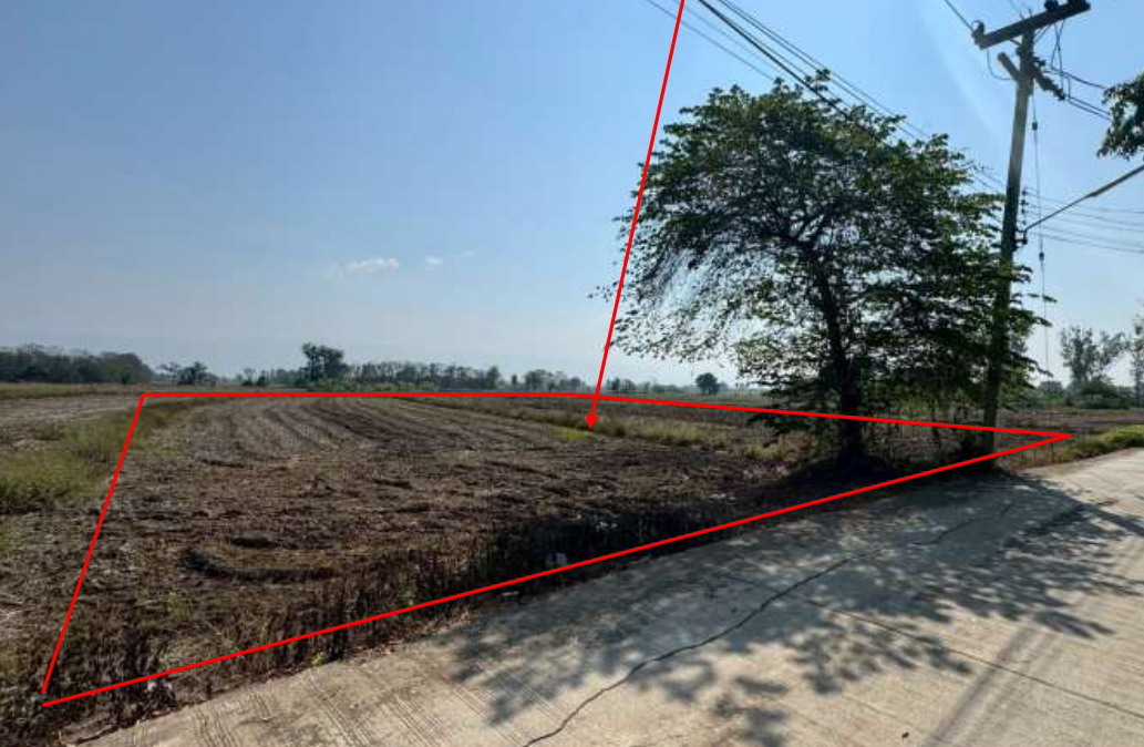 ขายทอดตลาด ที่ดินว่างเปล่า จ.พะเยา