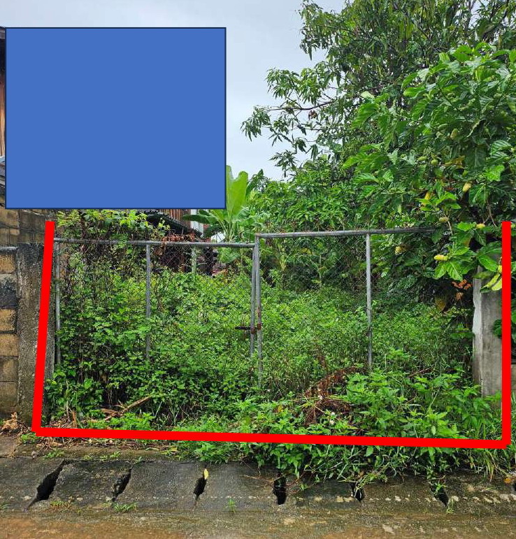 ขายทอดตลาด ที่ดินว่างเปล่า จ.พะเยา