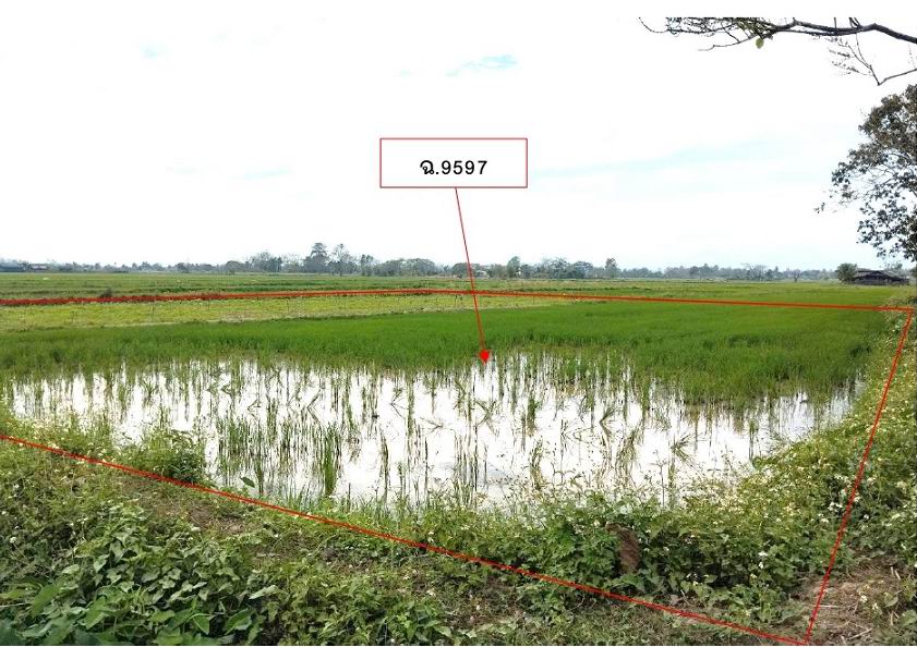 ขายทอดตลาด ที่ดินว่างเปล่า จ.พะเยา
