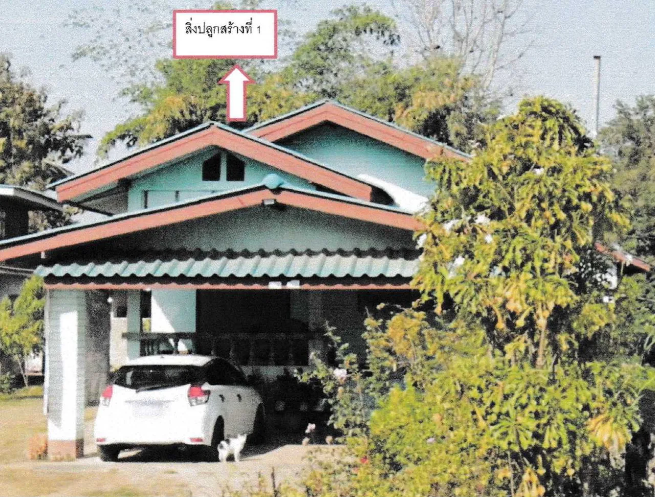 ขายทอดตลาด ที่ดินพร้อมสิ่งปลูกสร้าง ต.ท่าวังทอง อ.เมืองพะเยา จ.พะเยา