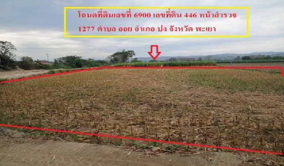 ขายทอดตลาด ที่ดินว่างเปล่า จ.พะเยา