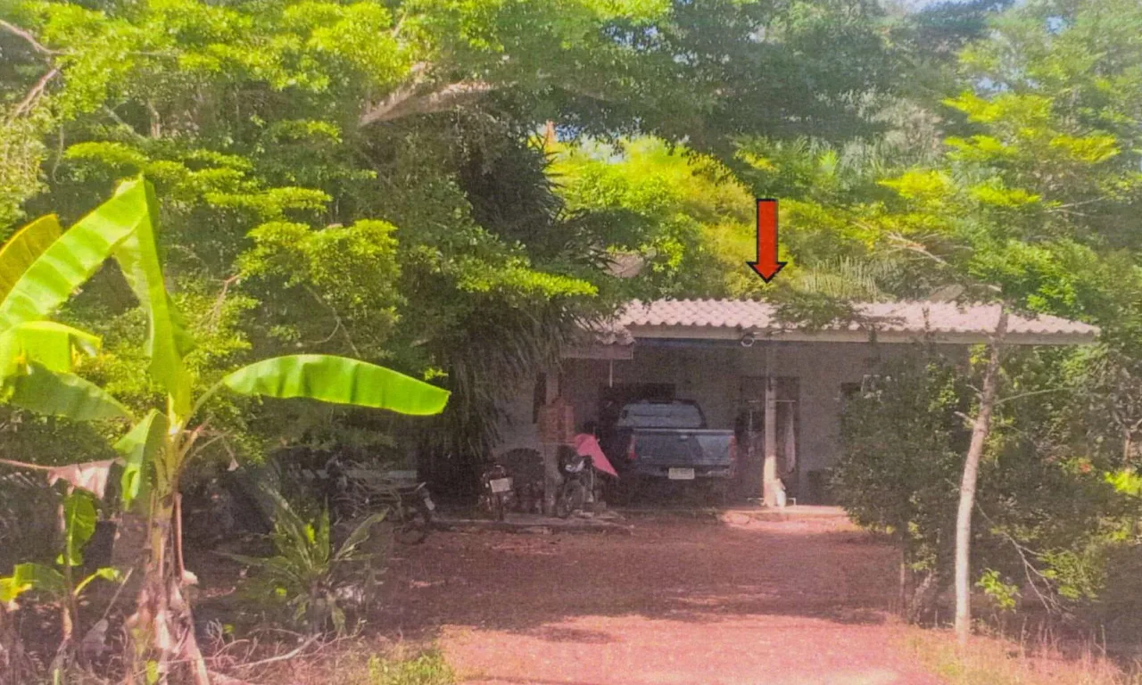 ขายทอดตลาด ที่ดินพร้อมสิ่งปลูกสร้าง ต.บ้านนา อ.ปะเหลียน จ.ตรัง