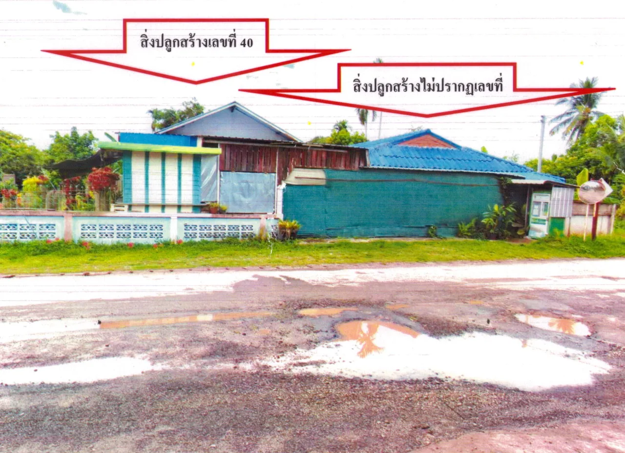 ขายทอดตลาด ที่ดินว่างเปล่า ต.แม่ใจ อ.แม่ใจ จ.พะเยา