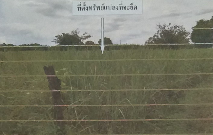 ขายทอดตลาด ที่ดินว่างเปล่า จ.สกลนคร