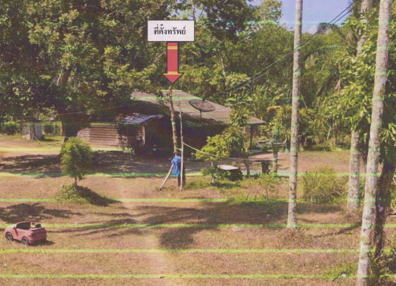 ขายทอดตลาด ที่ดินพร้อมสิ่งปลูกสร้าง ต.ช่อง อ.นาโยง จ.ตรัง