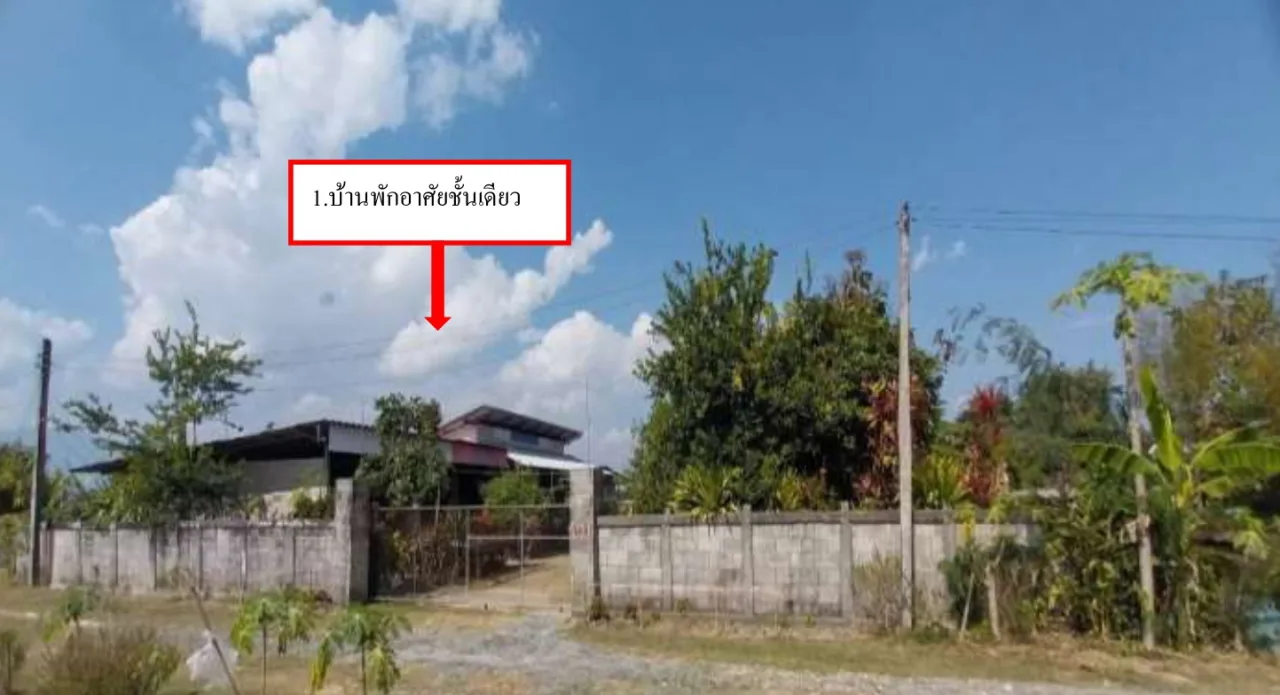ขายทอดตลาด ที่ดินพร้อมสิ่งปลูกสร้าง ต.แม่กา อ.เมืองพะเยา จ.พะเยา