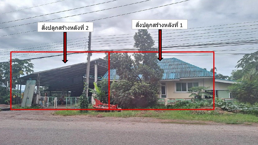ขายทอดตลาด ที่ดินพร้อมสิ่งปลูกสร้าง ต.แม่ใจ อ.แม่ใจ จ.พะเยา
