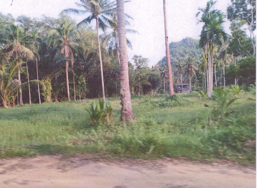 ขายทอดตลาด ที่ดินว่างเปล่า ต.ตากแดด อ.เมืองชุมพร จ.ชุมพร