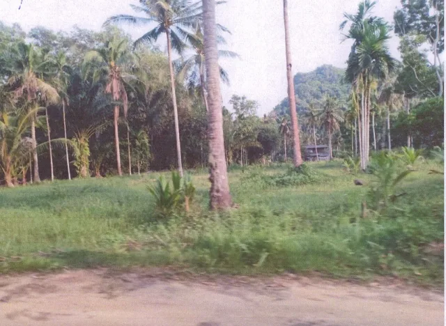 ขายทอดตลาด ที่ดินว่างเปล่า ต.ตากแดด อ.เมืองชุมพร จ.ชุมพร