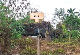 รูปทรัพย์ 2