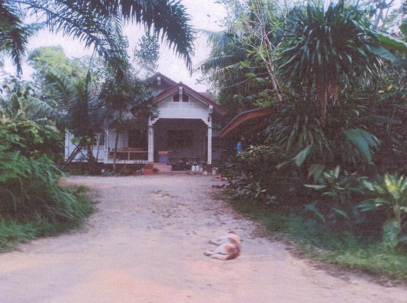 ขายทอดตลาด ที่ดินพร้อมสิ่งปลูกสร้าง ต.ตากแดด อ.เมืองชุมพร จ.ชุมพร