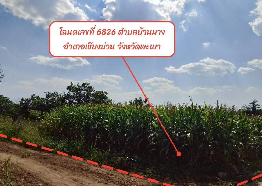 ขายทอดตลาด ที่ดินว่างเปล่า จ.พะเยา