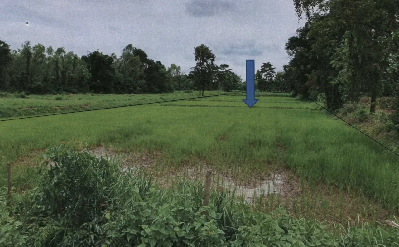 ขายทอดตลาด ที่ดินว่างเปล่า จ.มหาสารคาม
