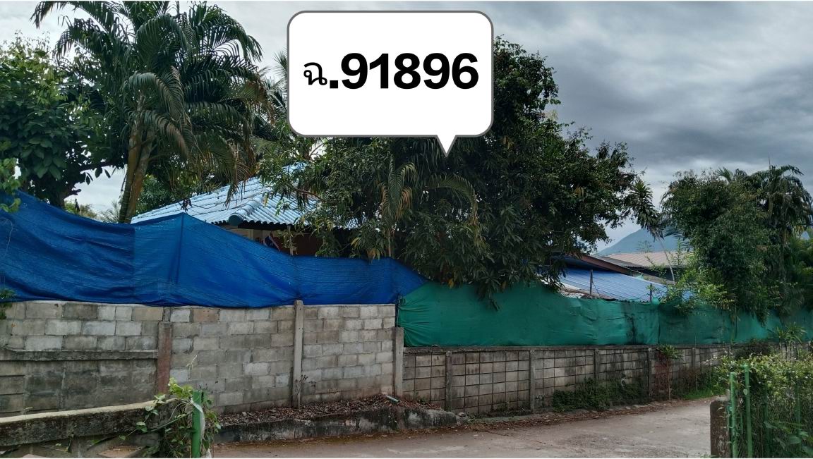 ขายทอดตลาด ที่ดินพร้อมสิ่งปลูกสร้าง ต.บ้านต๊ำ อ.เมืองพะเยา จ.พะเยา