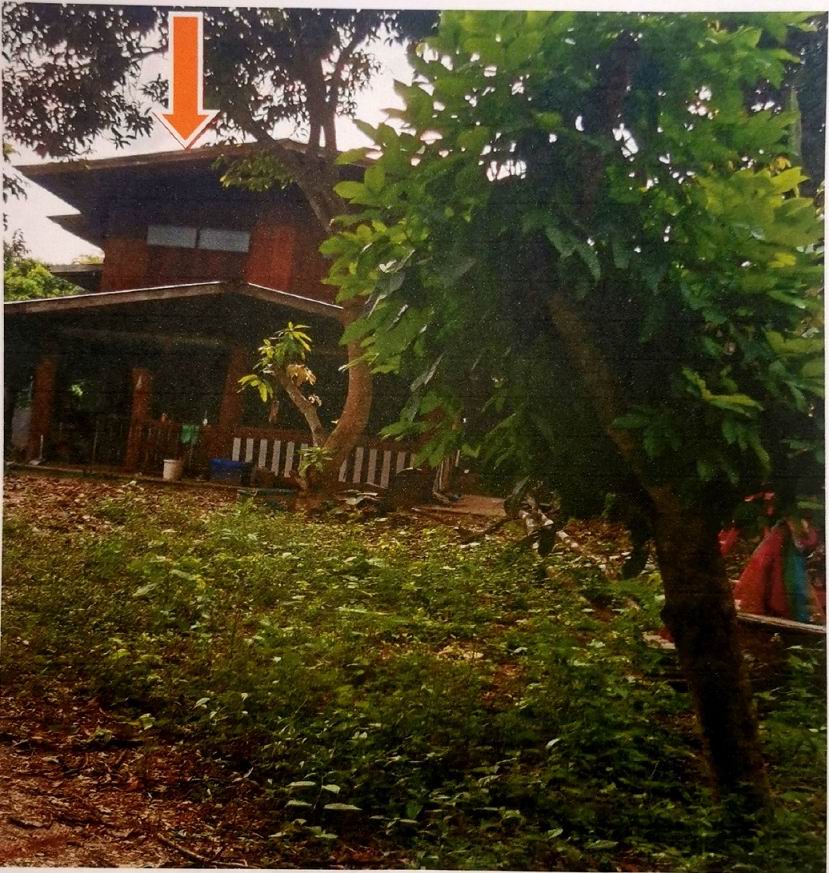 ขายทอดตลาด ที่ดินพร้อมสิ่งปลูกสร้าง ต.นาปรัง อ.ปง จ.พะเยา