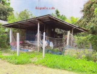 รูปทรัพย์ 2