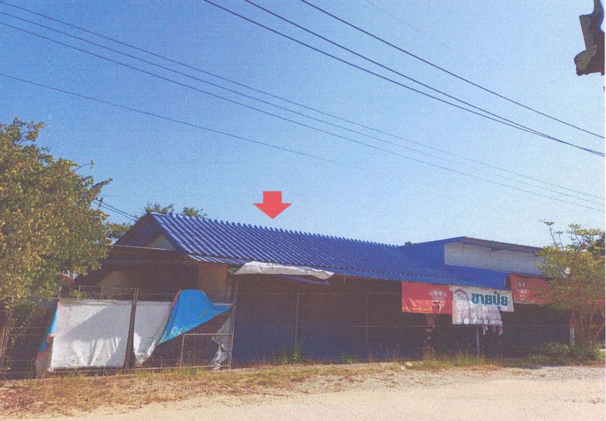 ขายทอดตลาด ที่ดินพร้อมสิ่งปลูกสร้าง ต.สันมะเค็ด อ.พาน จ.เชียงราย