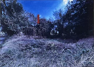 รูปทรัพย์ 4