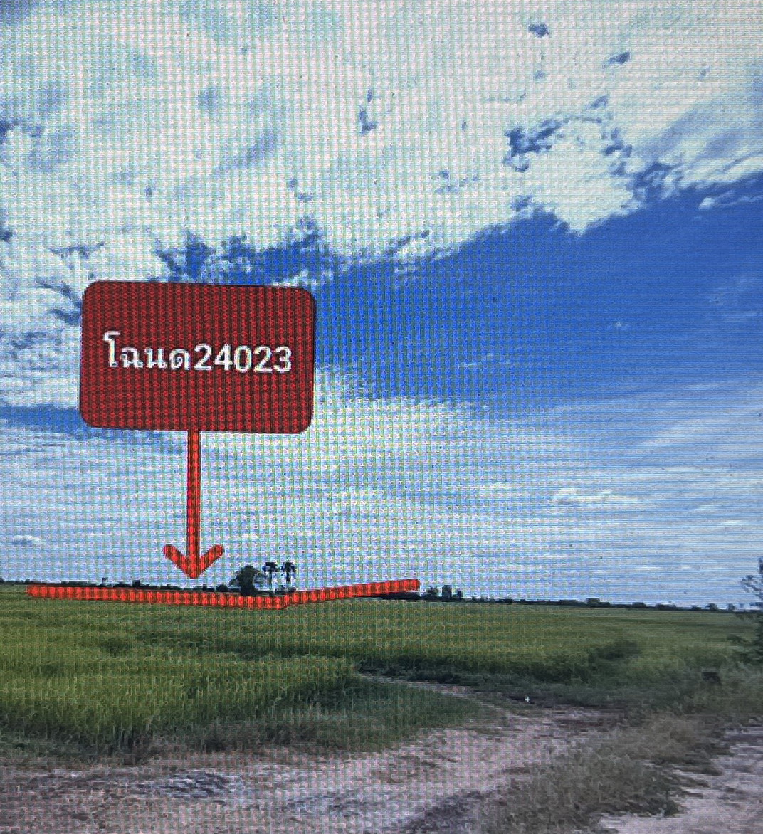ขายทอดตลาด ที่ดินว่างเปล่า จ.มหาสารคาม