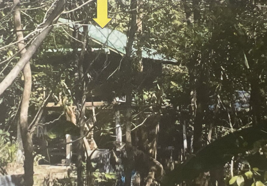 ขายทอดตลาด ที่ดินพร้อมสิ่งปลูกสร้าง ต.หัวดง อ.นาดูน จ.มหาสารคาม